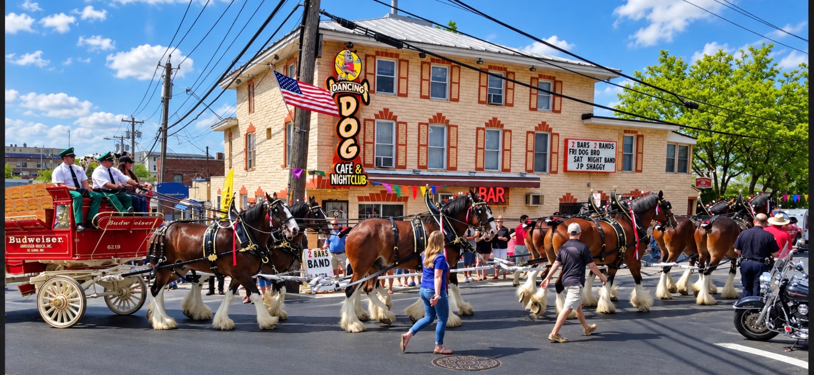 The Dancing Dog Bar And Apartments